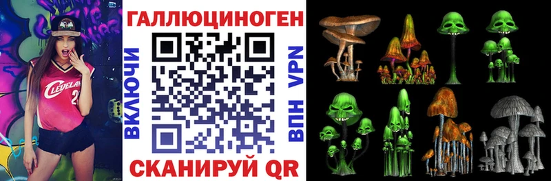 Купить где  Энем  Псилоцибиновые грибы Cubensis 